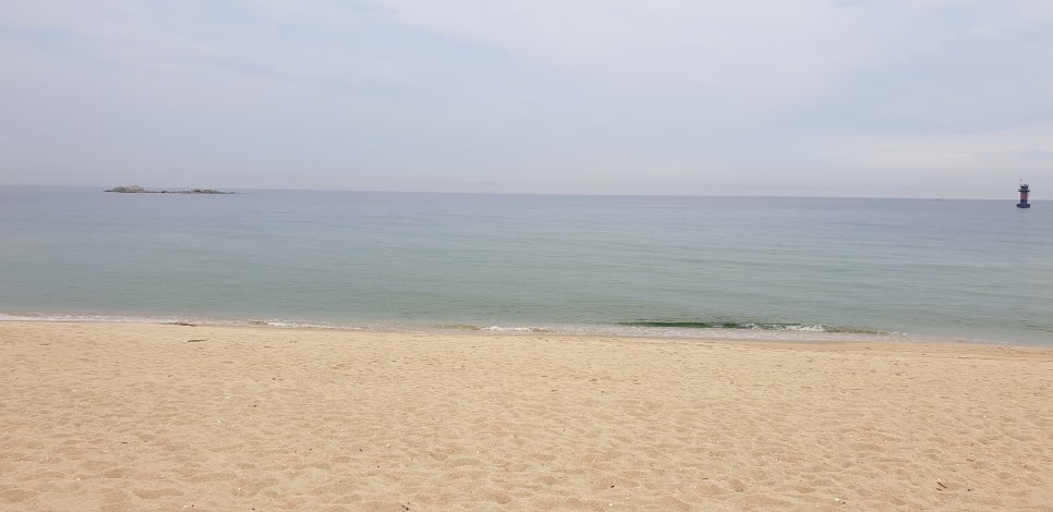 발톱무좀과 내향성 발톱의 동반 5 (&강릉오죽헌) 관련 이미지 22