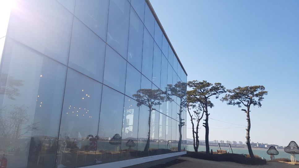 발톱무좀 과 심한 내향성 발톱이 동반된경우 관련 이미지 7