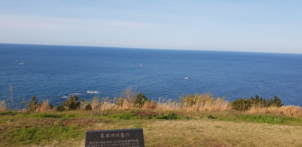 발톱무좀과 내향성 발톱의 동반3(&제주바다) 관련 이미지 24