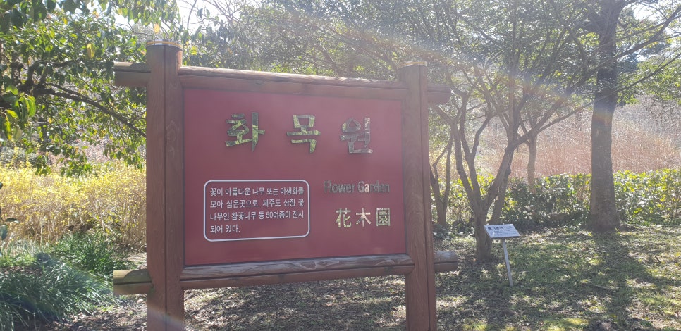 발톱무좀과 내향성 발톱의 동반3(&제주바다) 관련 이미지 17