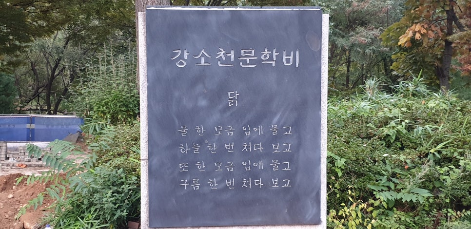 손톱 흑색종과 흑색선 15(&어린이대공원) 관련 이미지 20