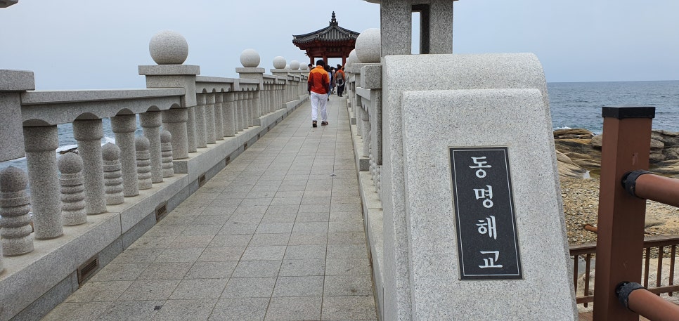 발톱무좀과 내성발톱23(&봄설악동해안) 관련 이미지 25