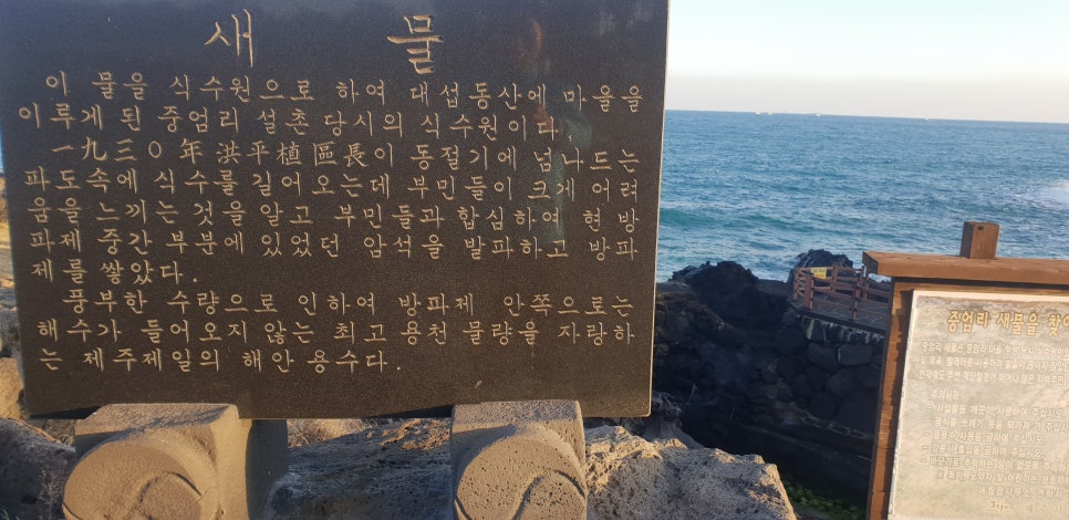 발톱무좀과 내향성 발톱의 동반3(&제주바다) 관련 이미지 10
