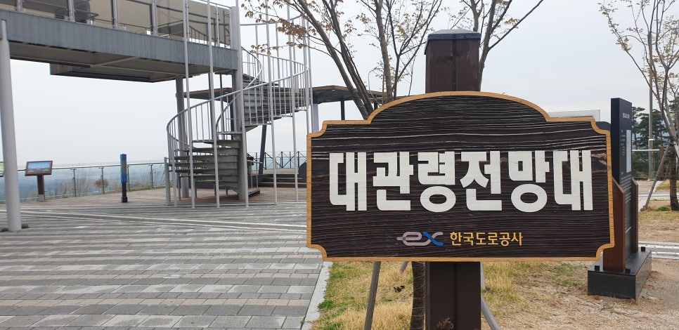 발톱무좀과 내향성 발톱의 동반 5 (&강릉오죽헌) 관련 이미지 10