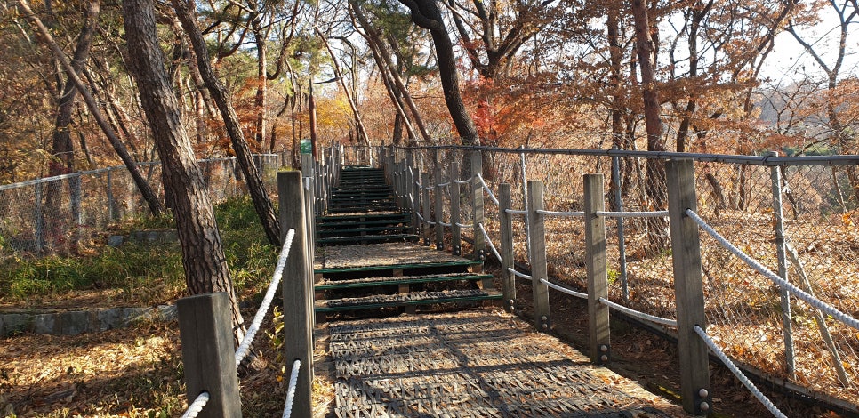 손발톱 흑색선 과 흑색종17(&아차산) 관련 이미지 19