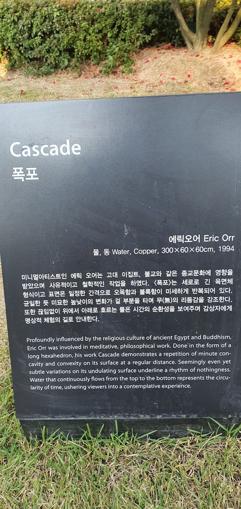 발톱무좀과 내성발톱35(&Museum SAN) 관련 이미지 23