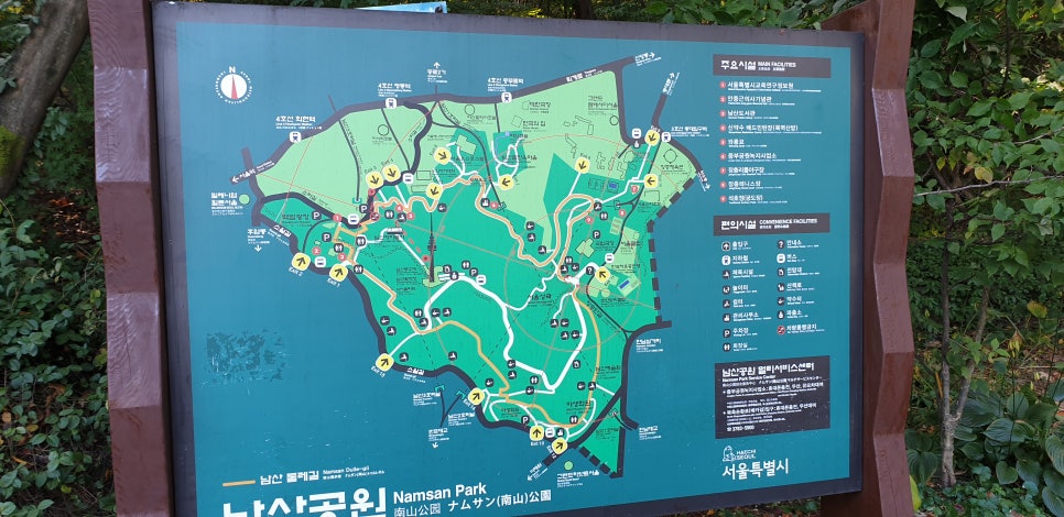 발톱무좀과 내향성발톱의 동반13(&가을남산) 관련 이미지 13