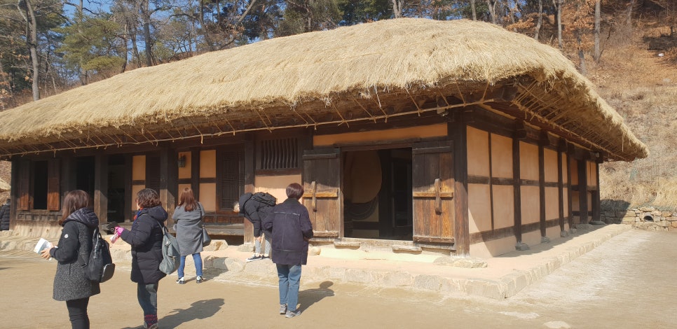 발톱무좀과 내향성 발톱의 동반1(김유정문학촌이야기) 관련 이미지 16