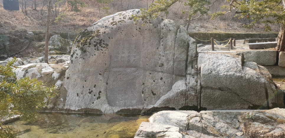 손톱 흑색종과 흑색선4(&창경궁비원) 관련 이미지 21