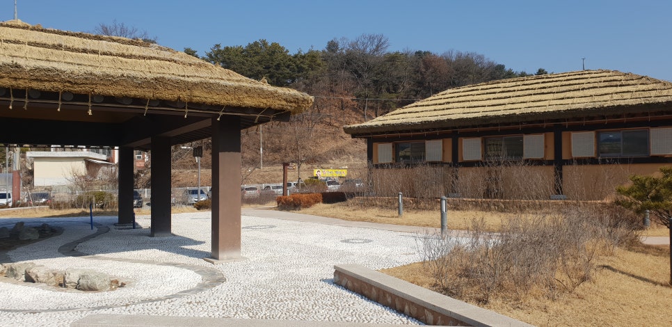 발톱무좀과 내향성 발톱의 동반1(김유정문학촌이야기) 관련 이미지 13