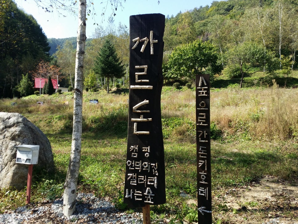손발톱 흑색종(흑색선)의 종류 와 내성발톱들 관련 이미지 4