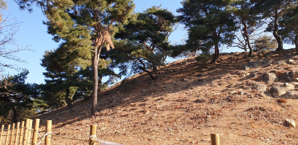 손발톱 흑색선 과 흑색종17(&아차산) 관련 이미지 27
