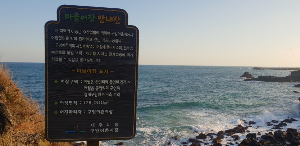 발톱무좀과 내향성 발톱의 동반3(&제주바다) 관련 이미지 9