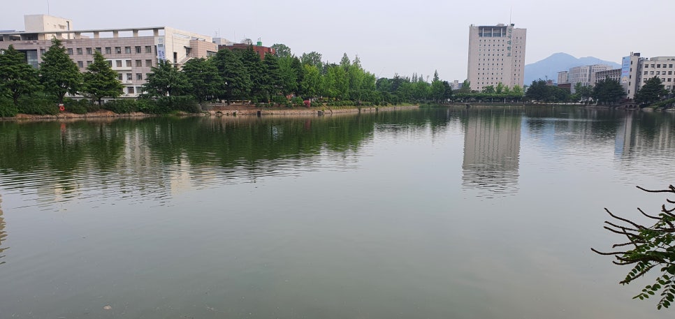 발톱무좀과 내성발톱24(&일감호) 관련 이미지 17
