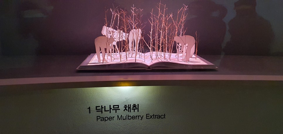 발톱무좀과 내성발톱36(&Museum SAN3) 관련 이미지 18