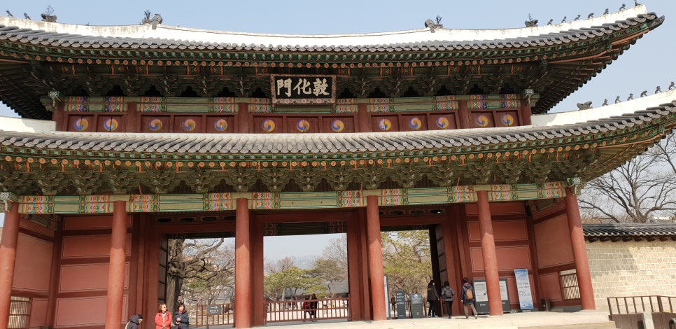 손톱 흑색종과 흑색선4(&창경궁비원) 관련 이미지 11