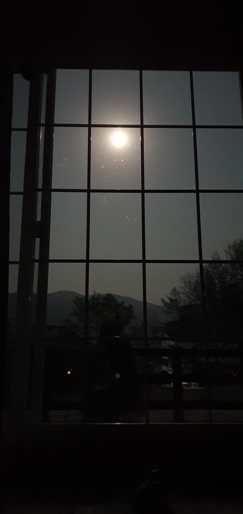 손발톱 흑색종과 흑색선28(&밤하늘2) 관련 이미지 23