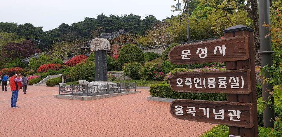 발톱무좀과 내향성 발톱의 동반 5 (&강릉오죽헌) 관련 이미지 18