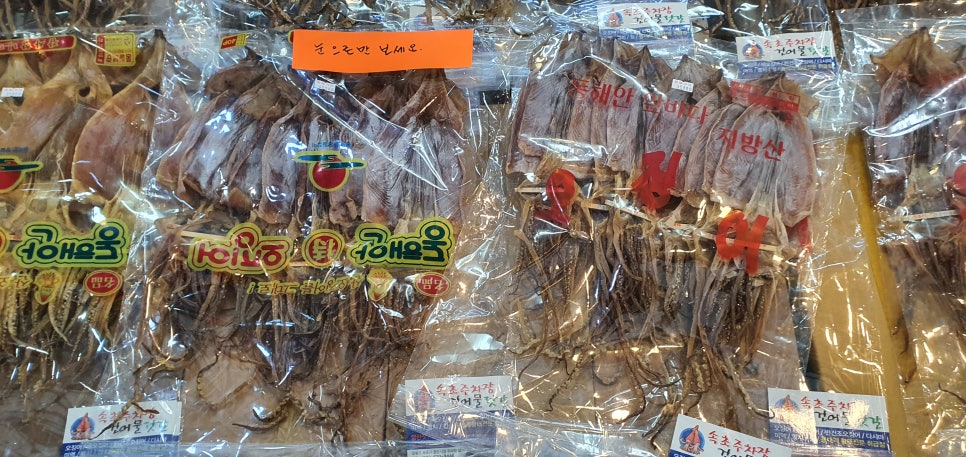 손발톱 흑색종과 흑색선29(&속초시장) 관련 이미지 20