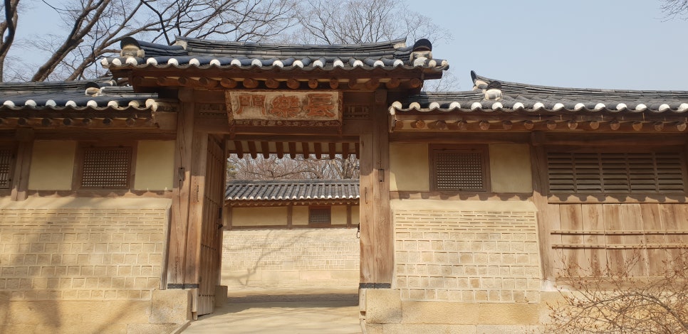 손톱 흑색종과 흑색선4(&창경궁비원) 관련 이미지 19