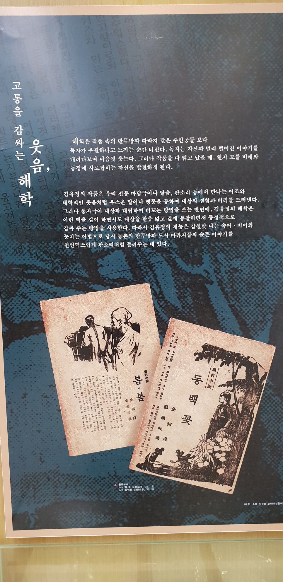 발톱무좀과 내향성 발톱의 동반1(김유정문학촌이야기) 관련 이미지 10