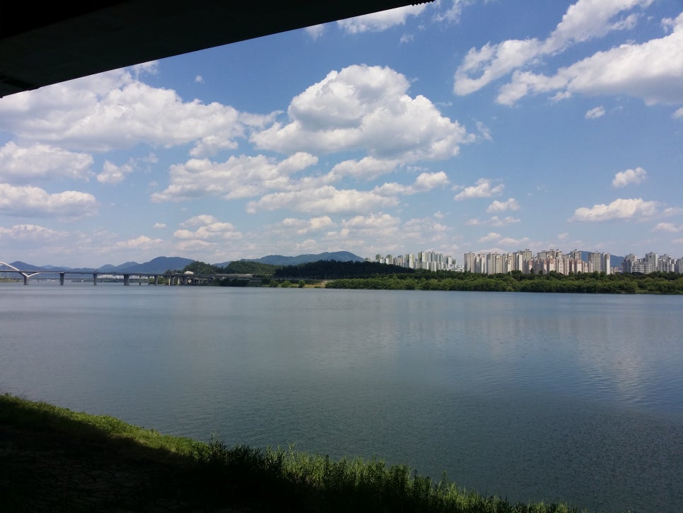 여름을 꿈꾸며 관련 이미지 3