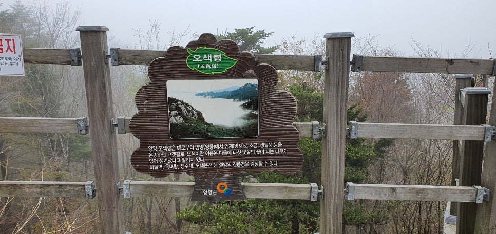 발톱무좀과 내성발톱23(&봄설악동해안) 관련 이미지 10