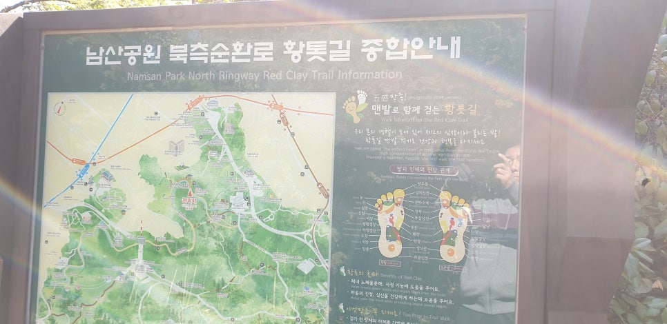 발톱무좀과 내향성발톱의 동반13(&가을남산) 관련 이미지 19