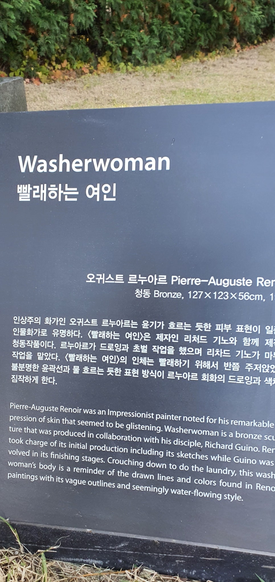 발톱무좀과 내성발톱35(&Museum SAN) 관련 이미지 15