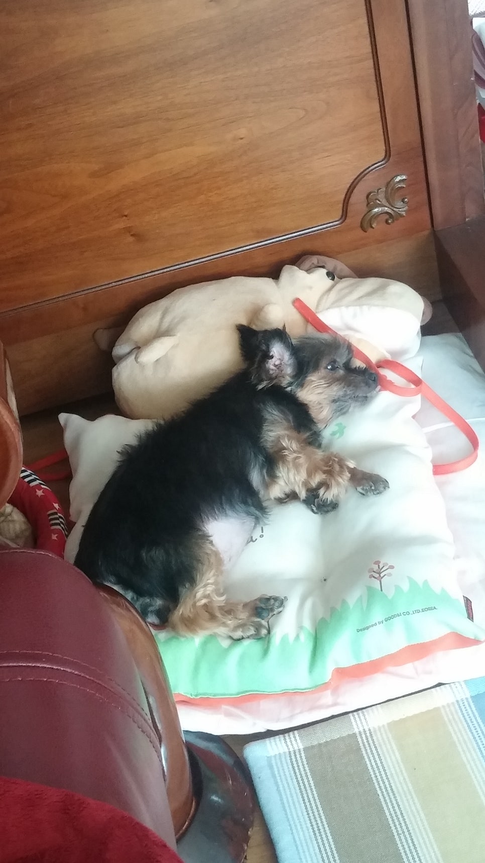 발톱무좀과 내성발톱32(&매실이) 관련 이미지 9