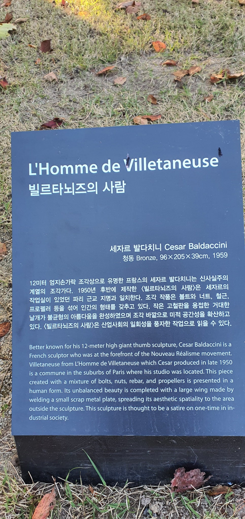 발톱무좀과 내성발톱35(&Museum SAN) 관련 이미지 17