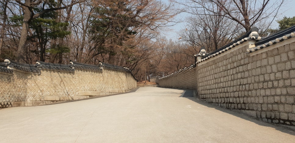 손톱 흑색종과 흑색선4(&창경궁비원) 관련 이미지 15