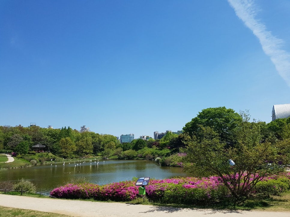 손발톱 흑색종과 흑색선32(&가을하늘) 관련 이미지 19