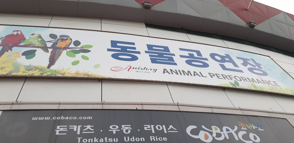 손톱 흑색종과 흑색선 15(&어린이대공원) 관련 이미지 28