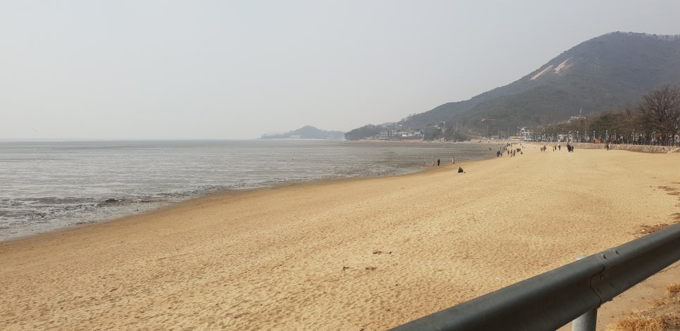 발톱무좀과 내향성발톱의 동반 2(&강화도전등사) 관련 이미지 15