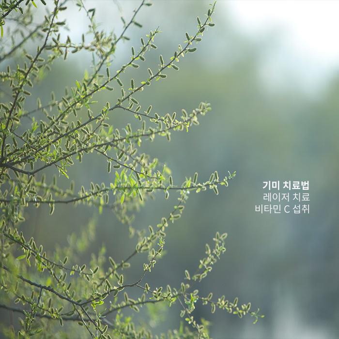 미리 알아두면 있으면 더 좋은 기미 예방법 관련 이미지 4