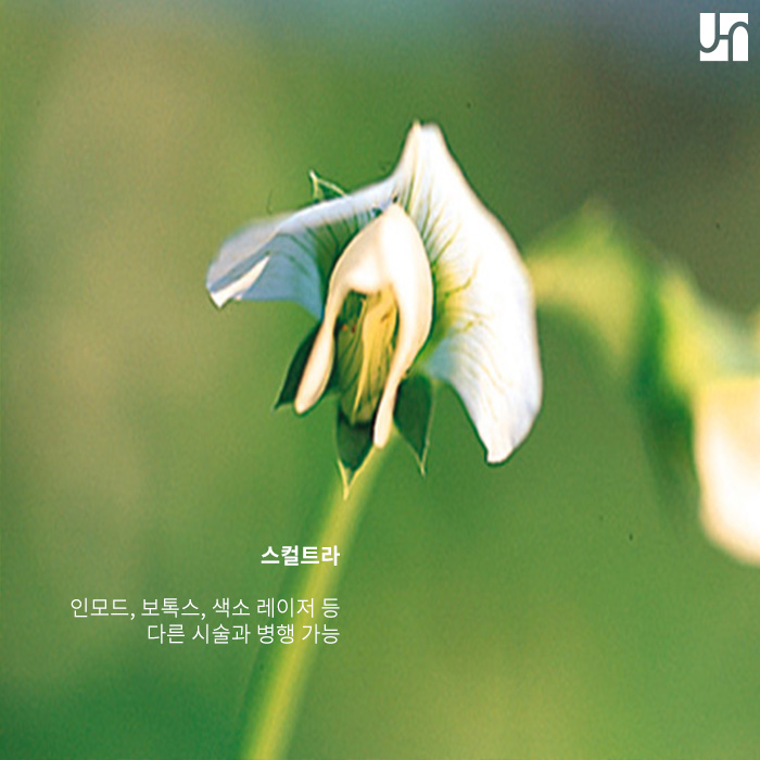 피부 탄력이 예전 같지 않다면 지금이 바로  스컬트라가 필요할 때 관련 이미지 4