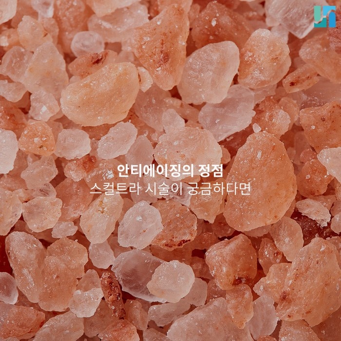 스컬트라 바이알 확인이 중요한 이유! 관련 이미지 1