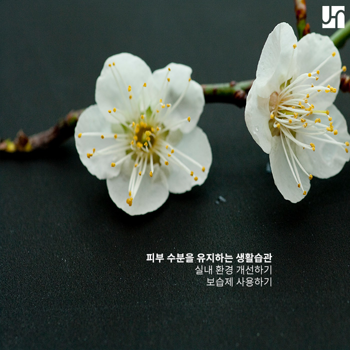 겨울철 심해지는 피부 가려움증 발생 원인과 치료법 관련 이미지 4