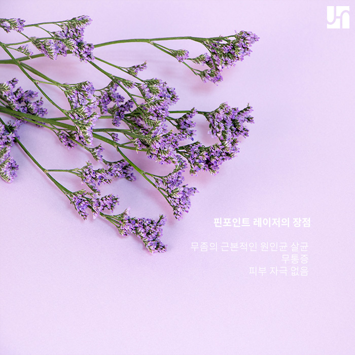 손발톱 관리, 핀포인트 레이저로 해보세요! 관련 이미지 4