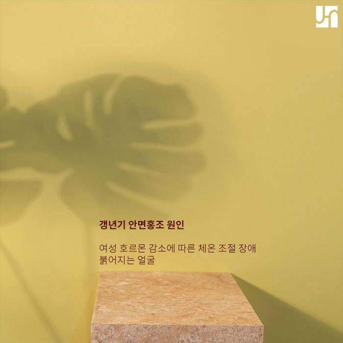 갱년기 증상으로 안면홍조가 나타난다면? 관련 이미지 2