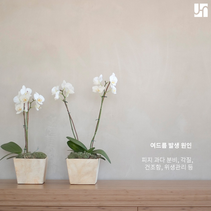 서초역 피부과, 누르면 아픈 여드름 치료에 대해 관련 이미지 2