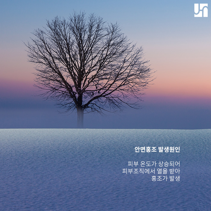 안면홍조의 발생기전 ; 근본적인 치료를 위해 알아야 할 관련 이미지 2