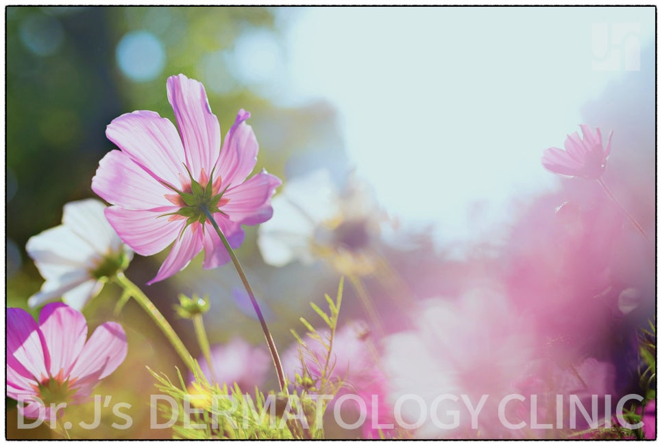 얼굴 모낭염, 두피 모낭염 증상을 알고 싶어요 관련 이미지 1
