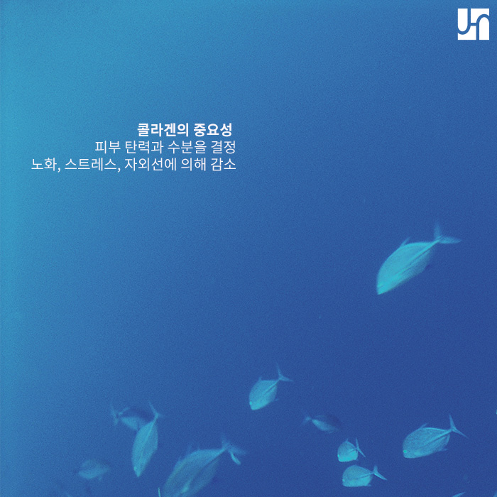 콜라겐 생성하고 싶다면 어떤 시술이 좋을까? 관련 이미지 2