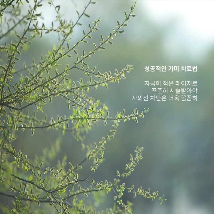 미리 알아두면 좋은 기미 발생 원인과 개선하는 방법 관련 이미지 4