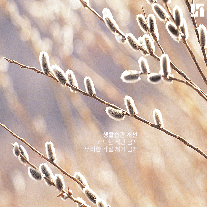 성인여드름, 이제는 이별하고 싶다면 관련 이미지 4