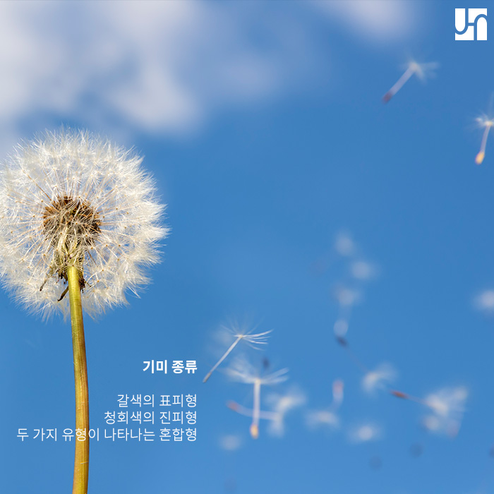 기미, 마크뷰 진단으로 미리미리 예방하기 관련 이미지 3