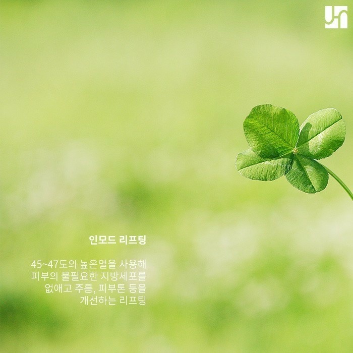 피부 탄력 증진을 위한 선택! 인모드 리프팅 관련 이미지 2