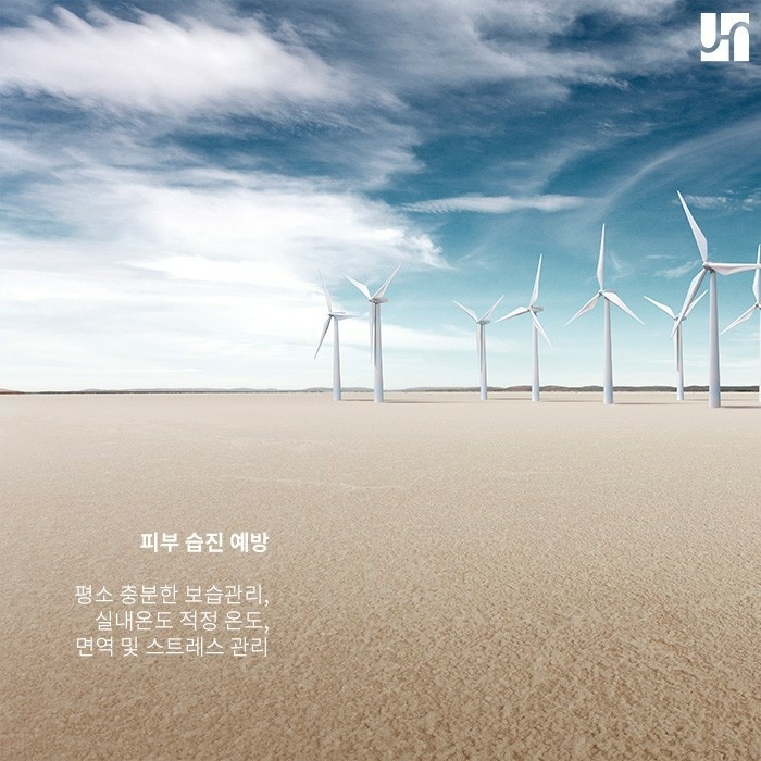 피부염, 습진으로부터 자유로워지고 싶다면 관련 이미지 4